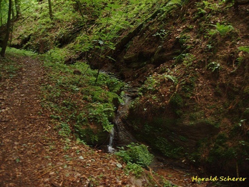 DHW0006.jpg